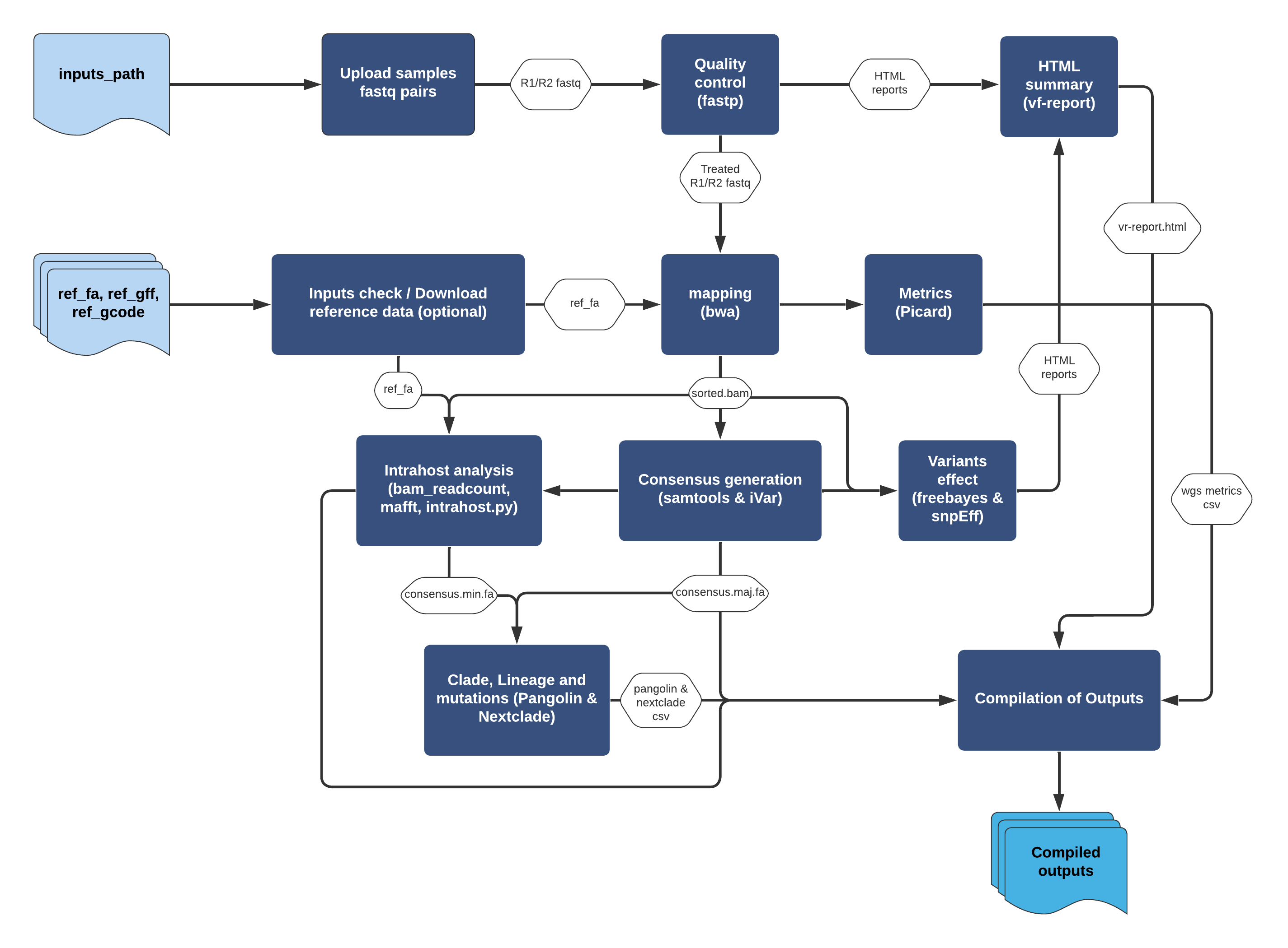 ViralFlow Workflow