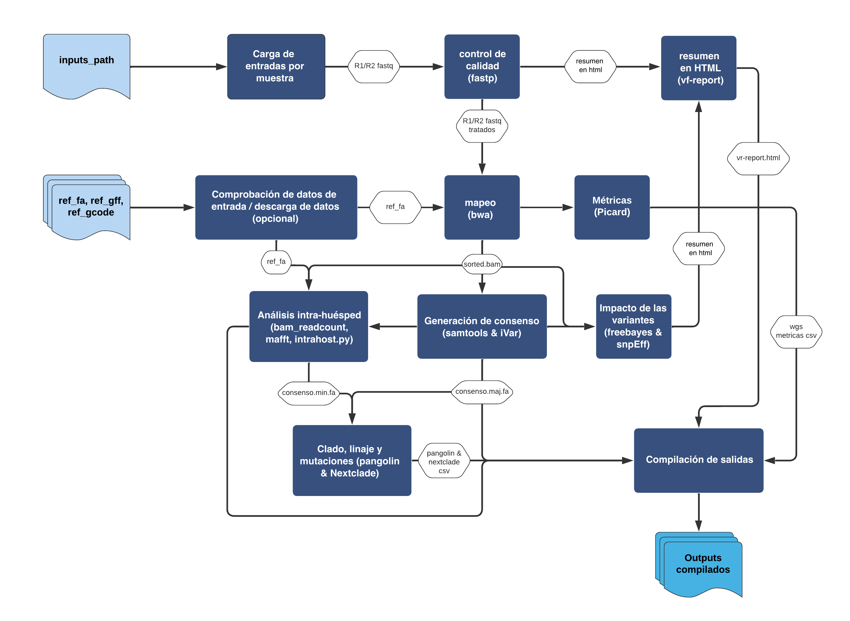Workflow de ViralFlow