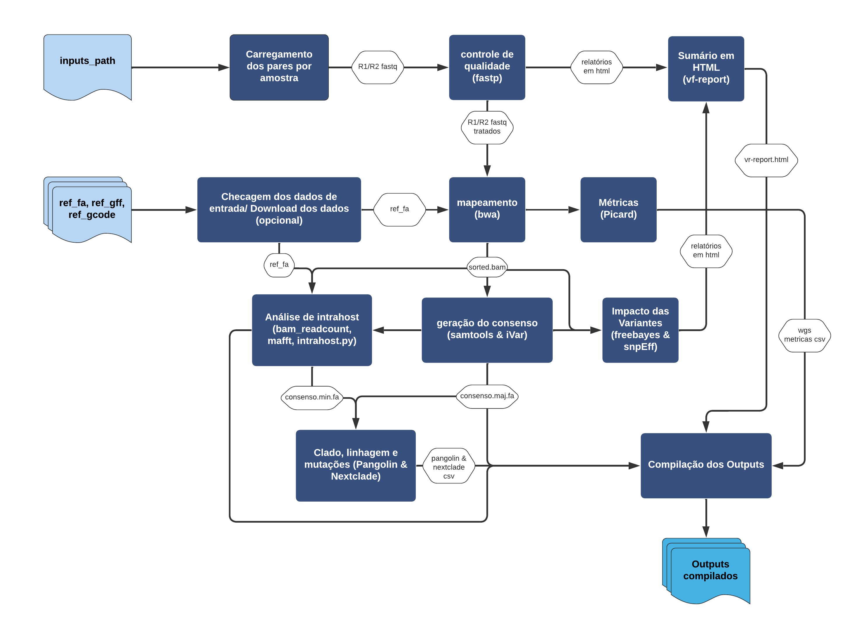 Workflow do ViralFlow
